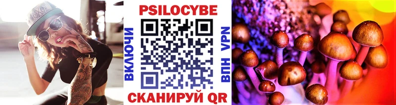 Галлюциногенные грибы Cubensis дарнет шоп Выборг