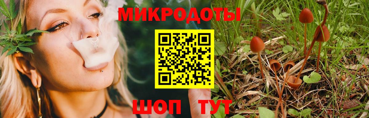 Выборг  Псилоцибиновые грибы Magic Shrooms  Вход с VPN 
